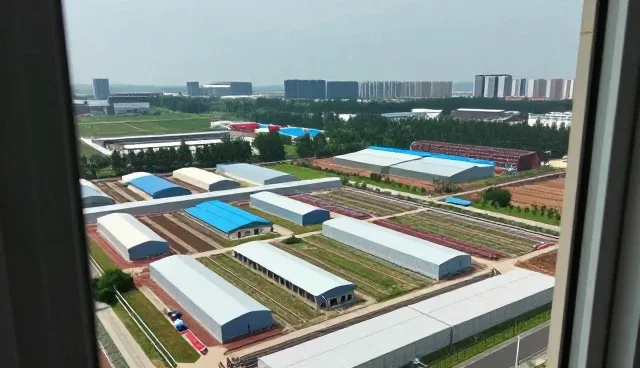 学校施工管理中项目对接的性能表现与实际应用